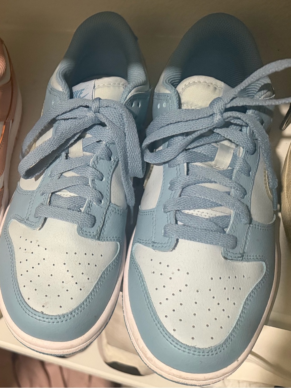 Nike Women’s Nike dunk